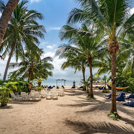Echo Beach Hostel Baan Tai Εξωτερικό φωτογραφία