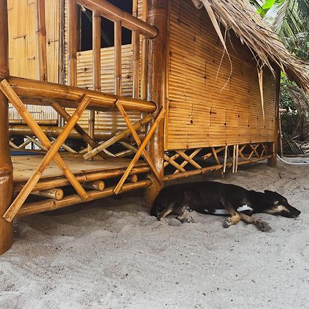 Echo Beach Hostel Baan Tai Εξωτερικό φωτογραφία